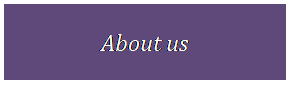 Szvegdoboz: About us
